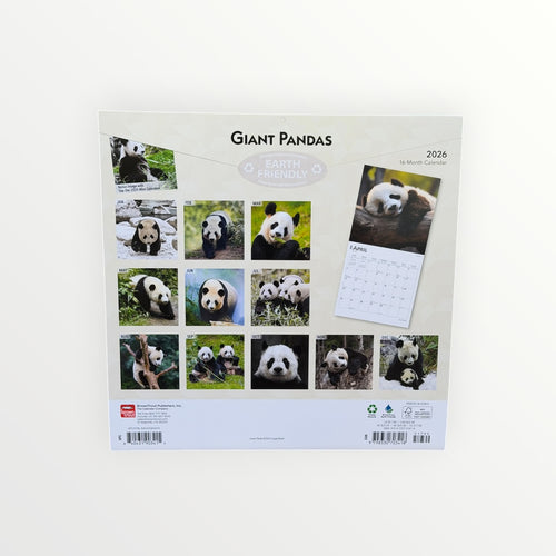 BrownTrout Publishers GIANT PANDAS 2026 16-Month Calendar 12" x 12"