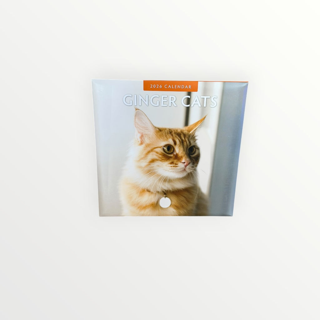 Red Robin Publishing GINGER CATS 2026 16-Month Calendar 12" x 12"