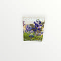 Texas Bluebonnet Seeds to Plant