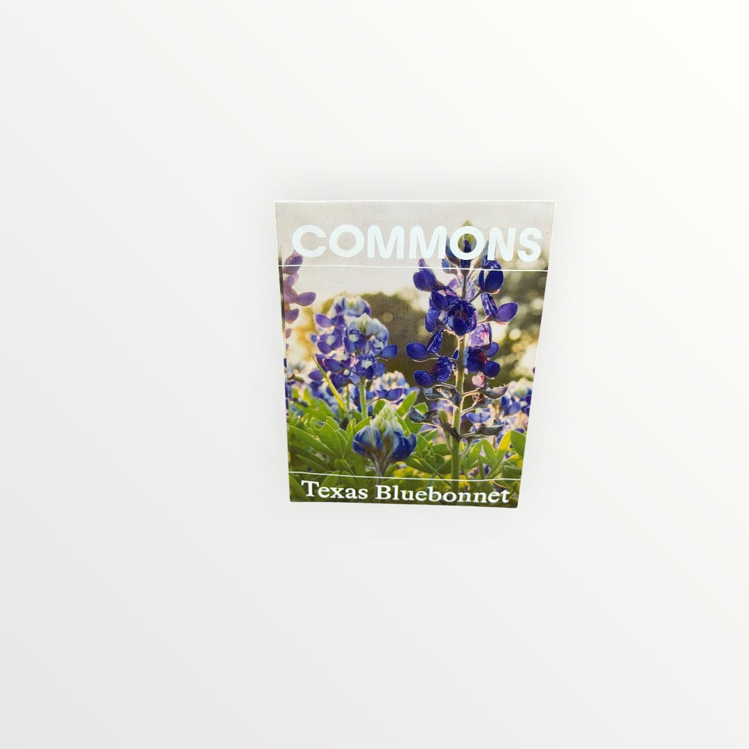 Texas Bluebonnet Seeds to Plant