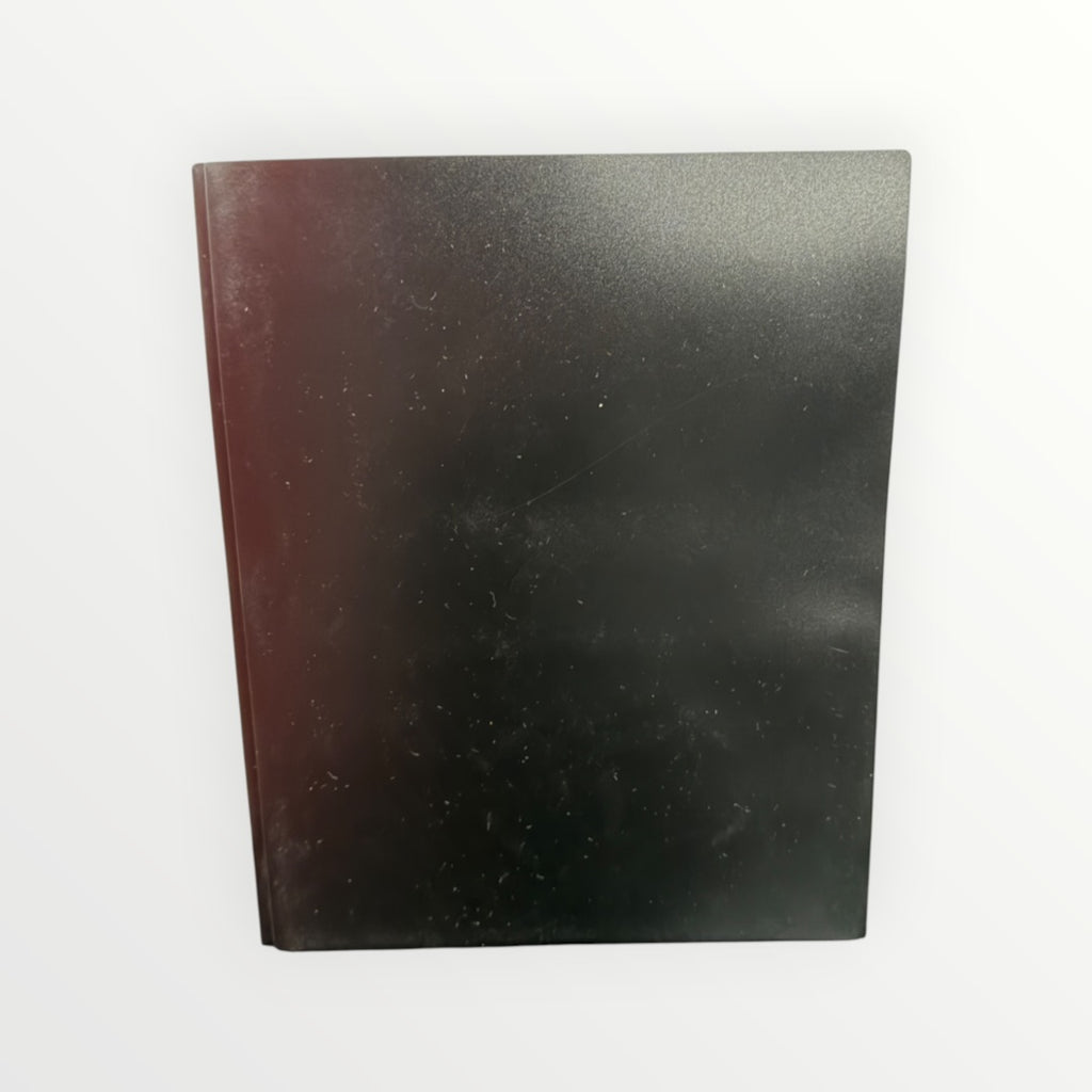 2 Pocket Plastic Folder with Prongs