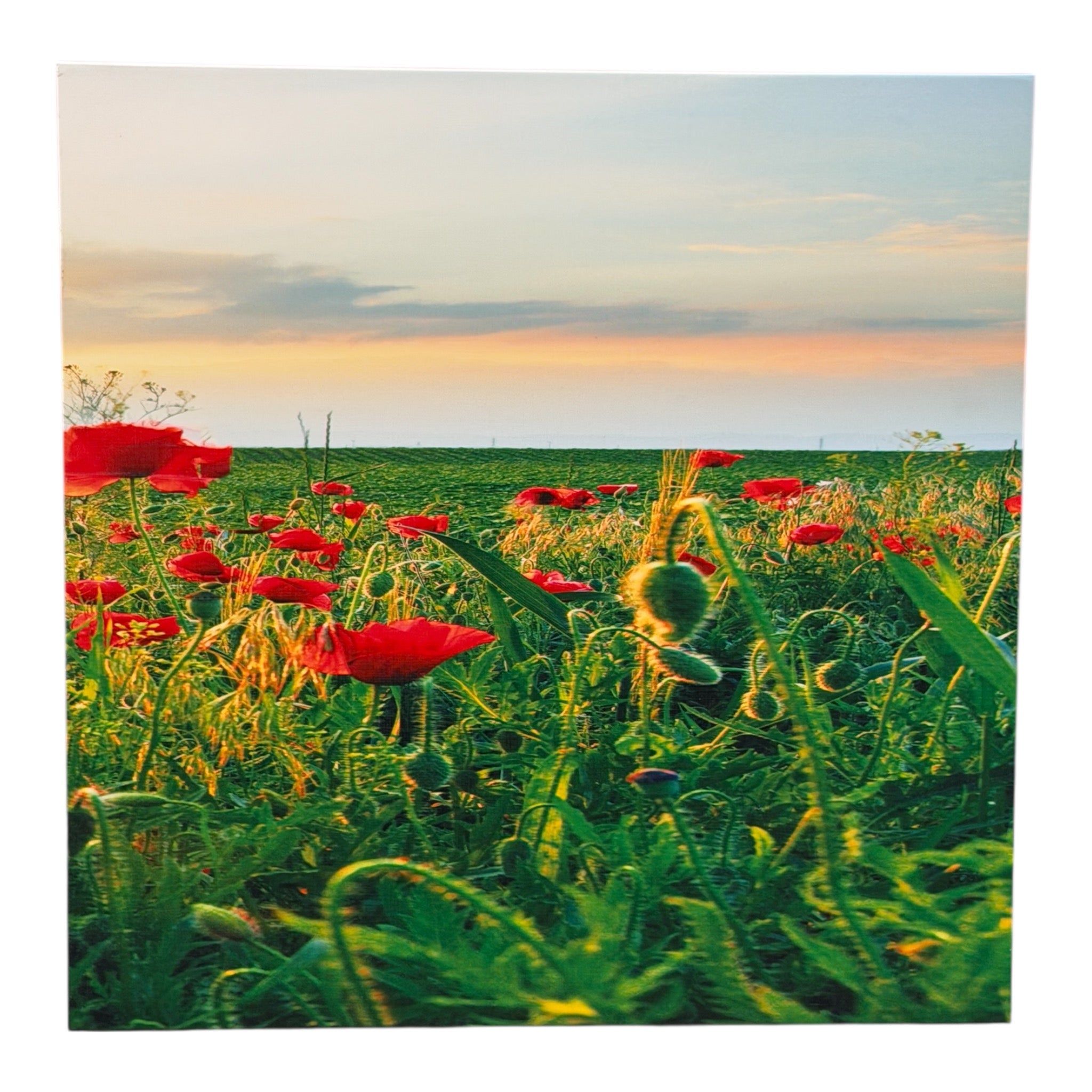 Wooden Triptych Wall Art "Poppy Field at Sunset"