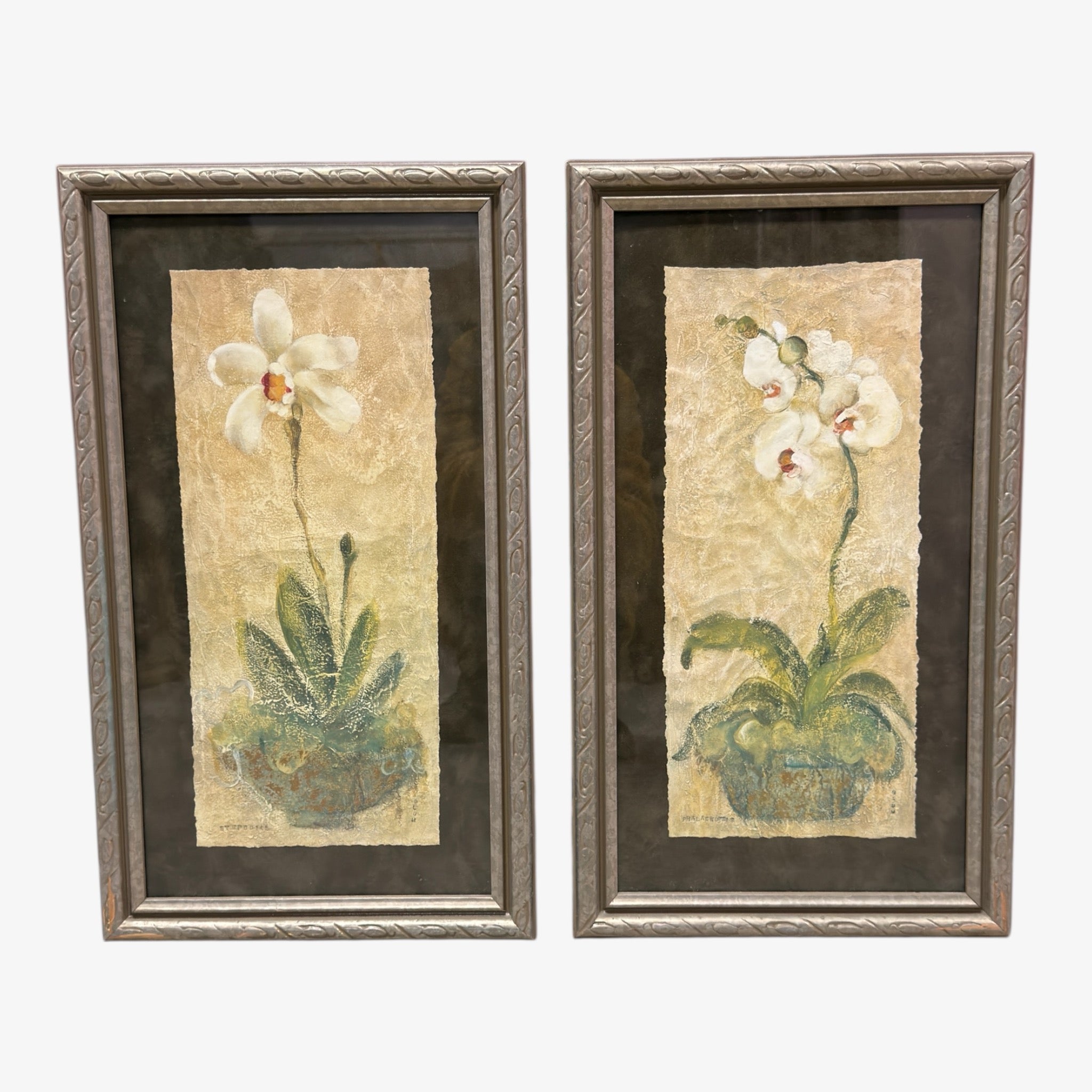 Set of Two Framed Botanical Prints by Cheri Blum