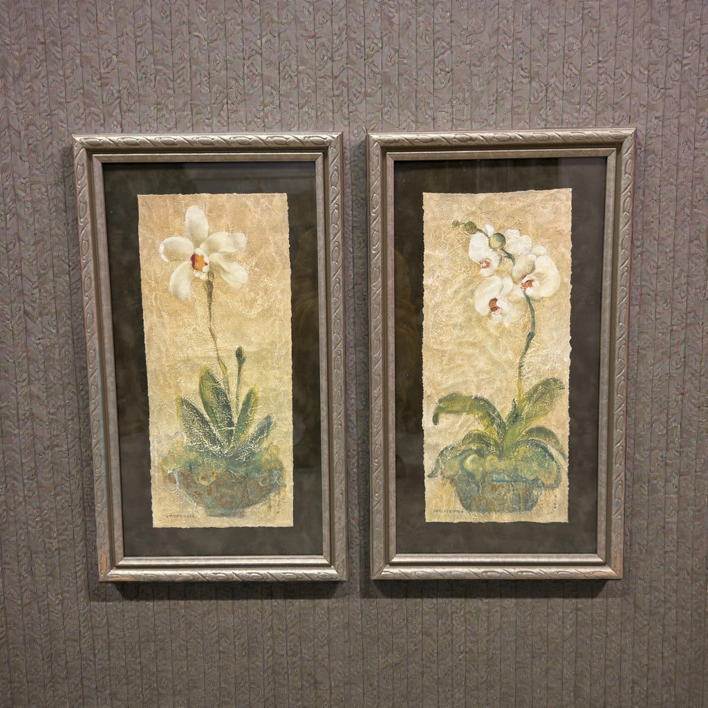 Set of Two Framed Botanical Prints by Cheri Blum