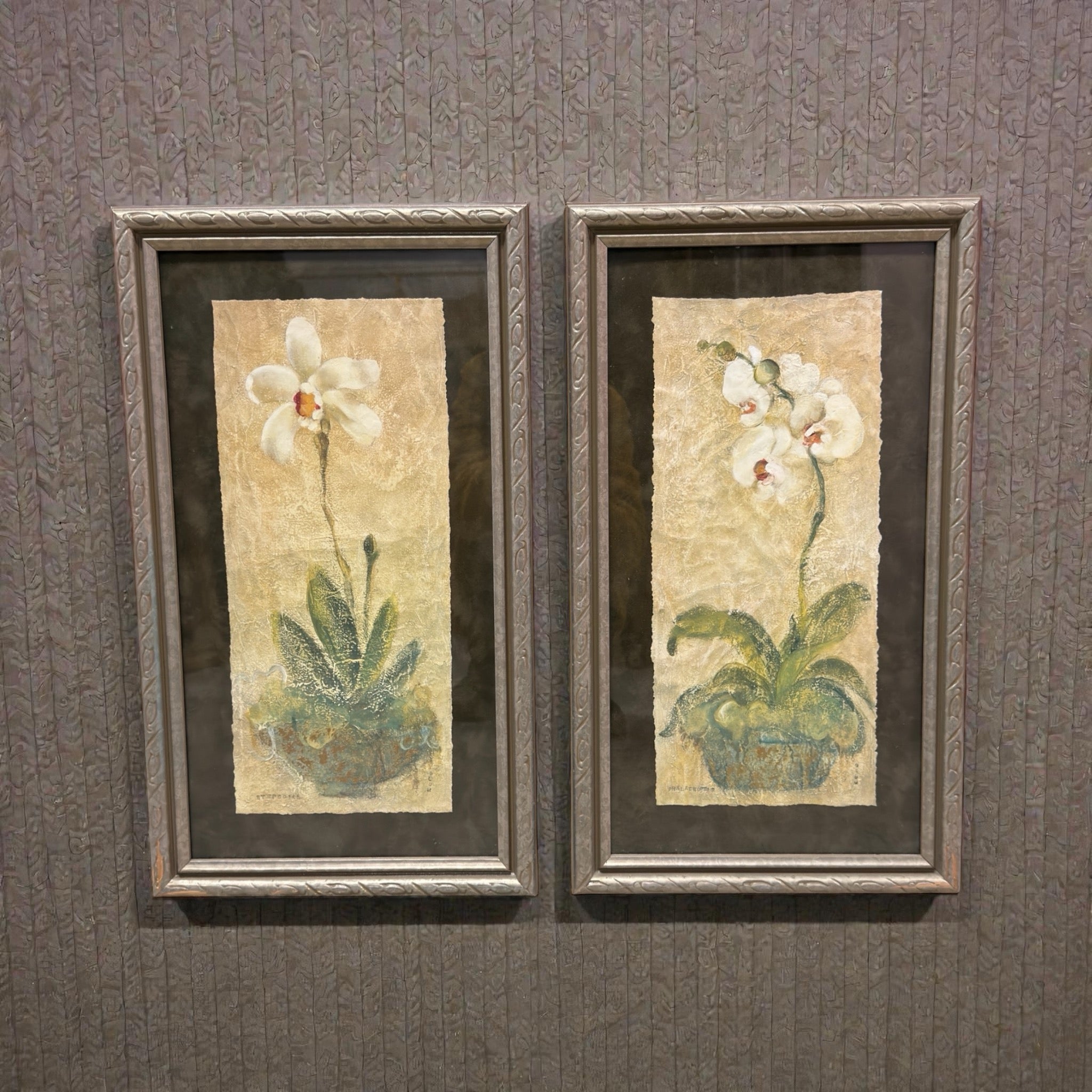 Set of Two Framed Botanical Prints by Cheri Blum