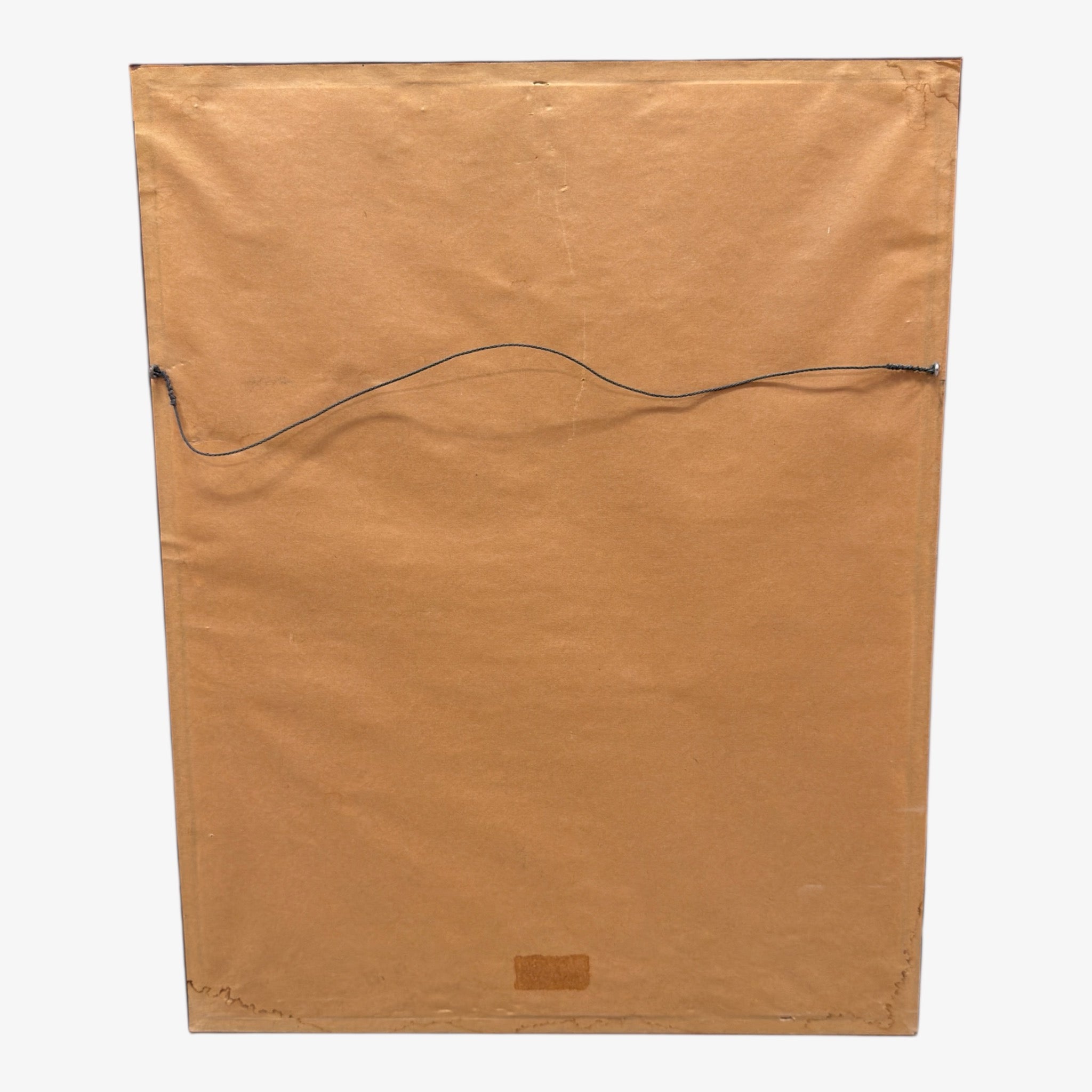 Vintage Professional Framed Wall Art Botanical Print by William Curtis