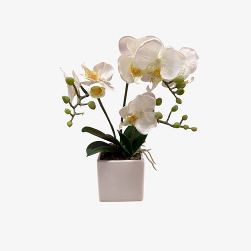 Artificial Orchid Plant w/Led Lights in a White Ceramic Pot 14"H