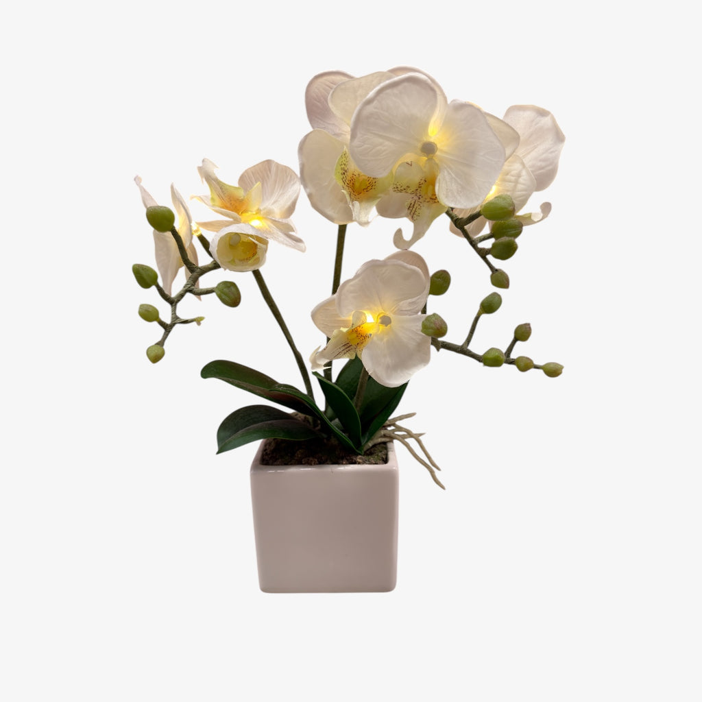 Artificial Orchid Plant w/Led Lights in a White Ceramic Pot 14"H