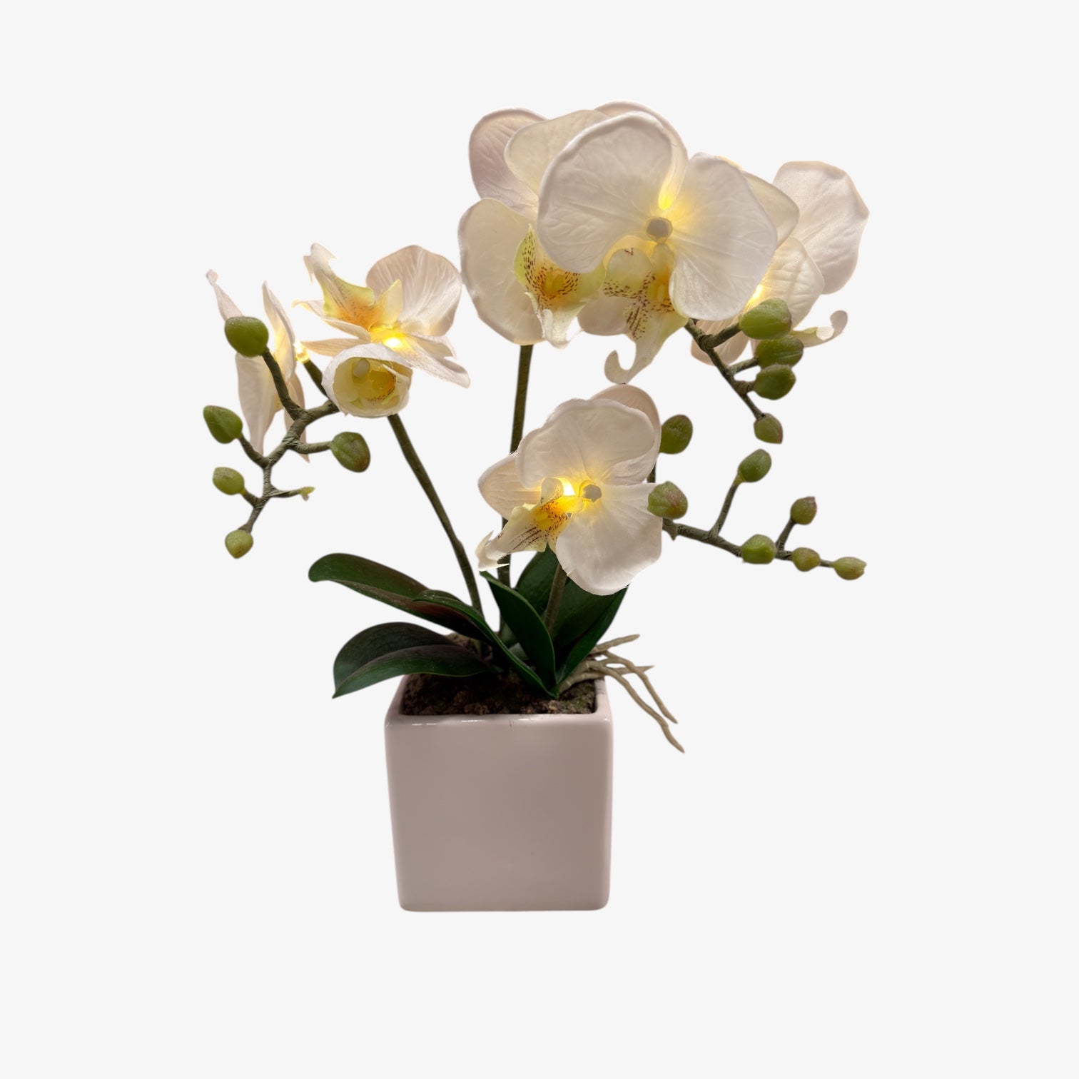 Artificial Orchid Plant w/Led Lights in a White Ceramic Pot 14"H