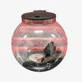 KollerCraft Plastic Fish Tank or Aquarium 3-Gallon Start Kit  11.5" H