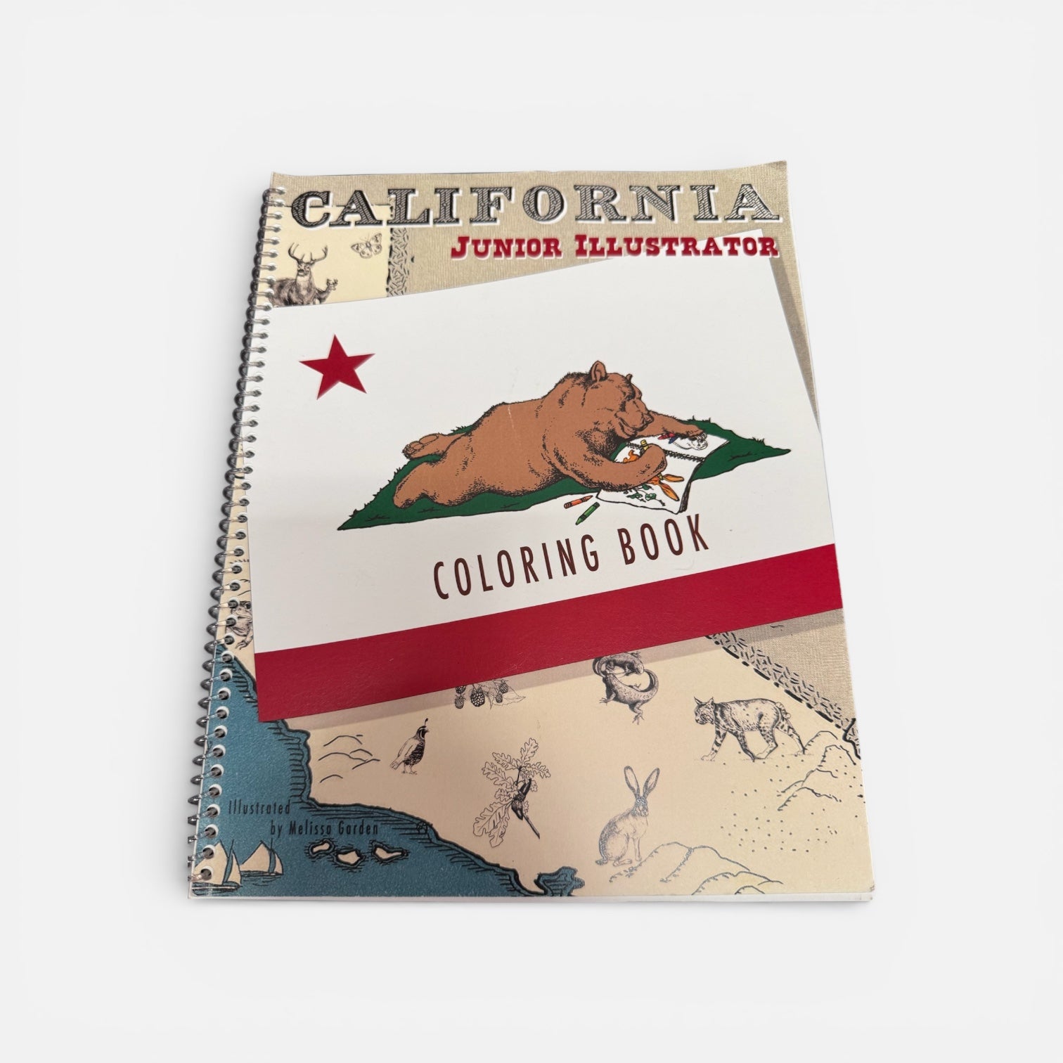 "California Junior Illustrator" Coloring Book