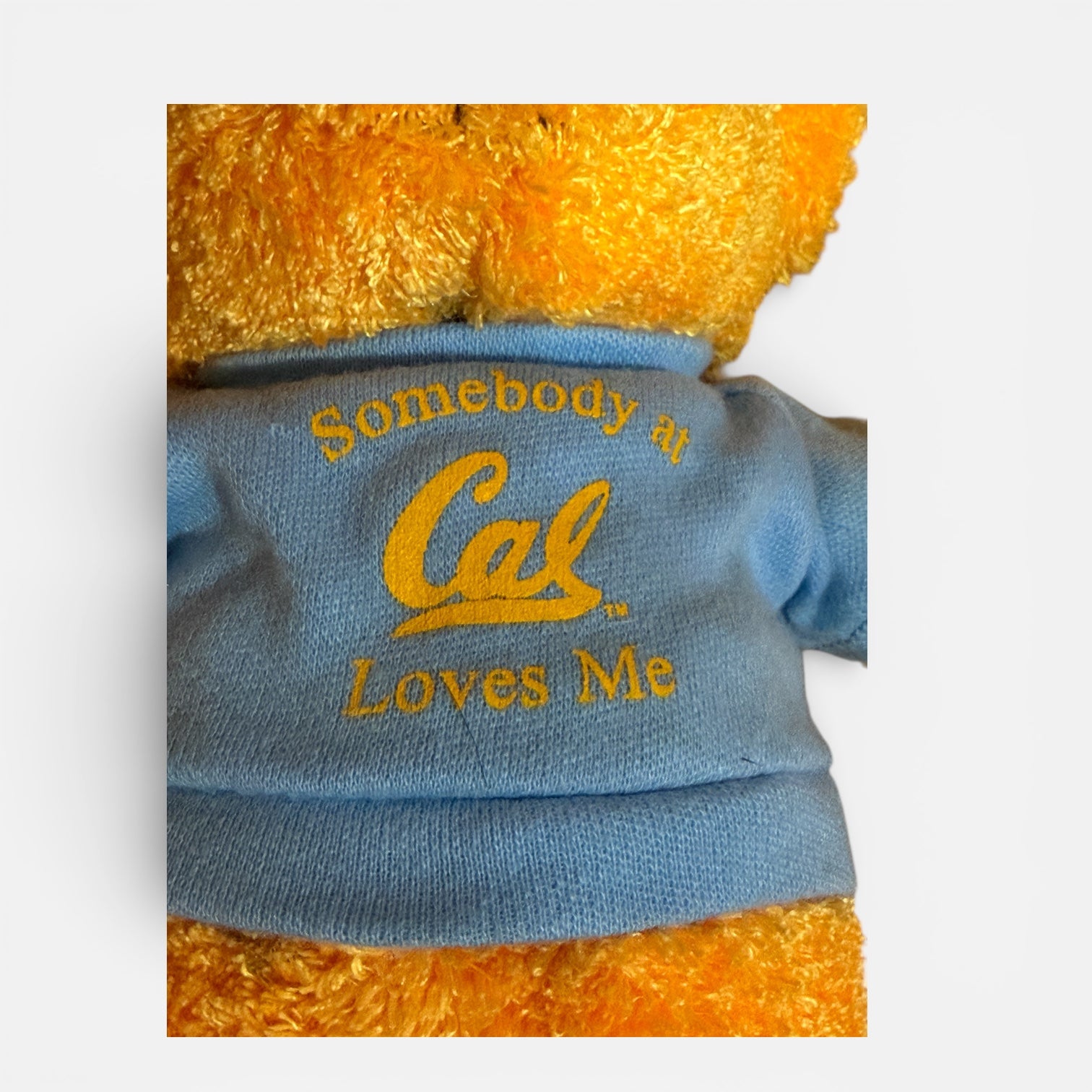 "Somebody at Cal Loves Me" UC Berkeley Plush Bear 9"