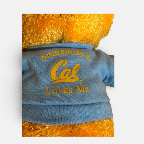 "Somebody at Cal Loves Me" UC Berkeley Plush Bear 9"