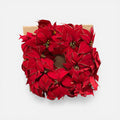 Red Poinsettia Wreath 21"