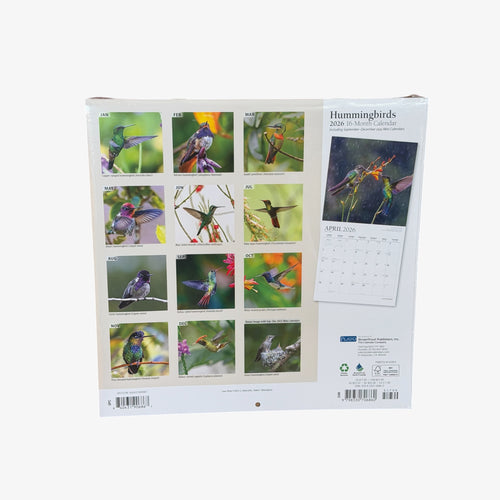 BrownTrout Publishers HUMMINGBIRDS 2026 16-Month Calendar 12" x 12"