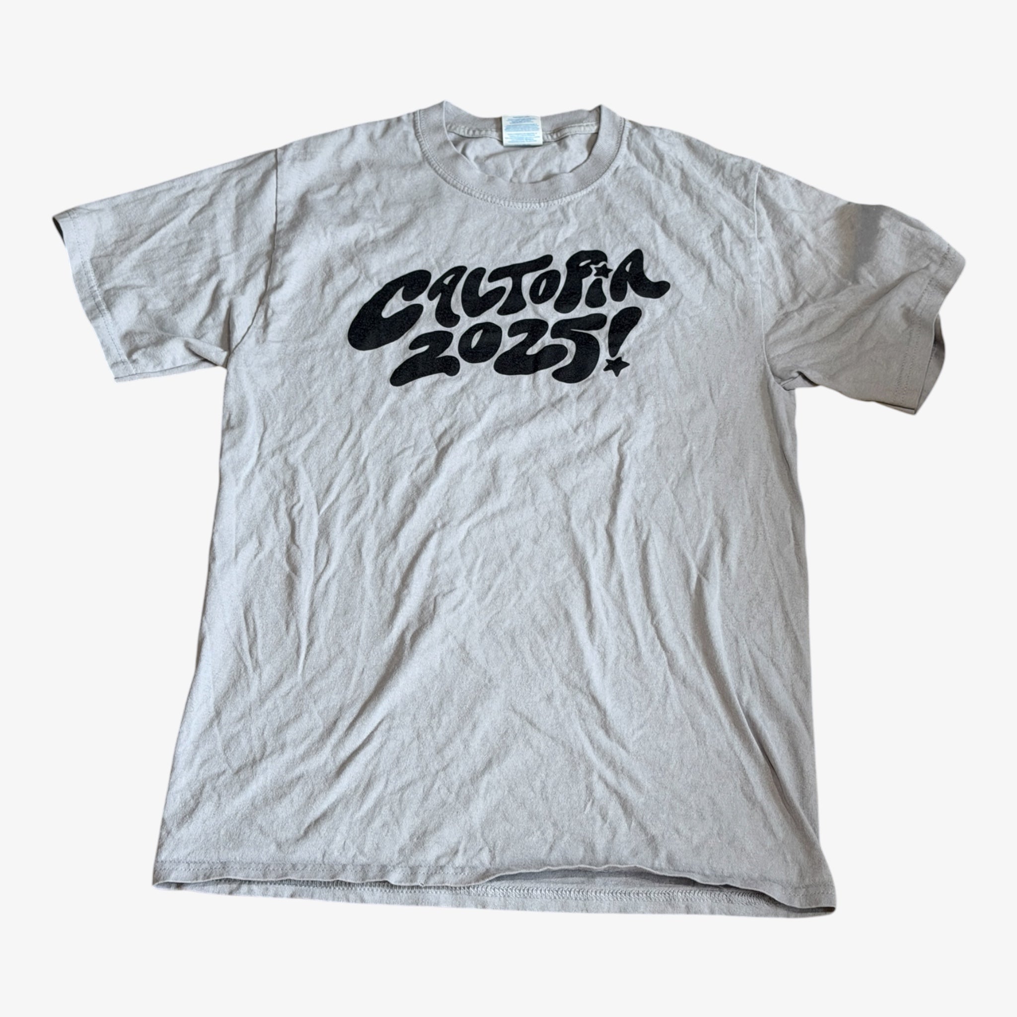 UC Berkeley "Caltopia 2025!" T-Shirt Grey Size: S