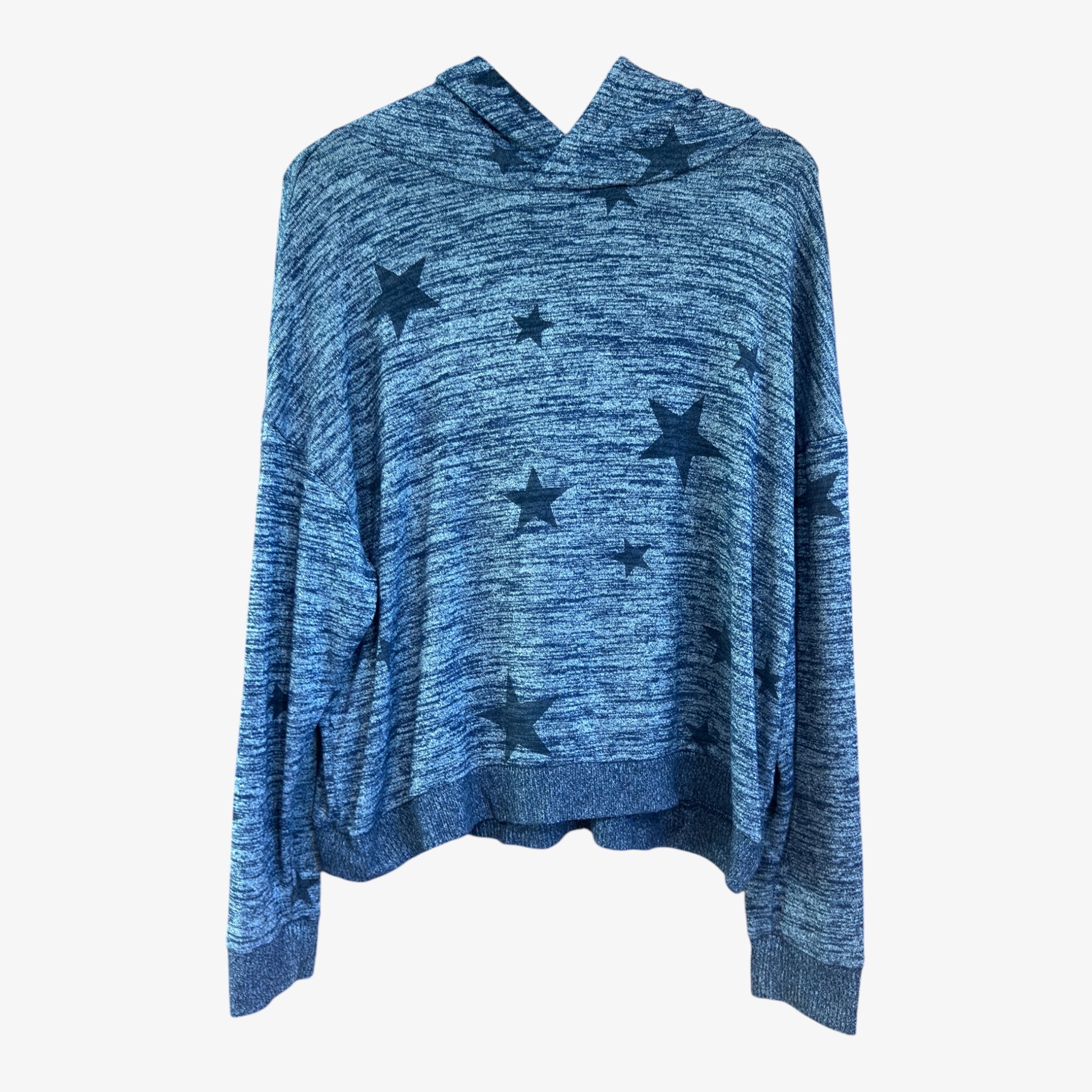Gap Women's Blue Star Hoodie Sweater Size: L