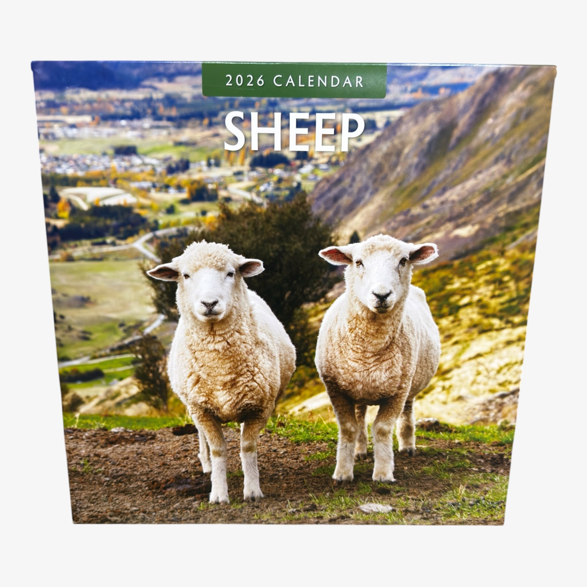 Red Robin 2026 Sheep Monthly Wall Calendar 12" x 12"