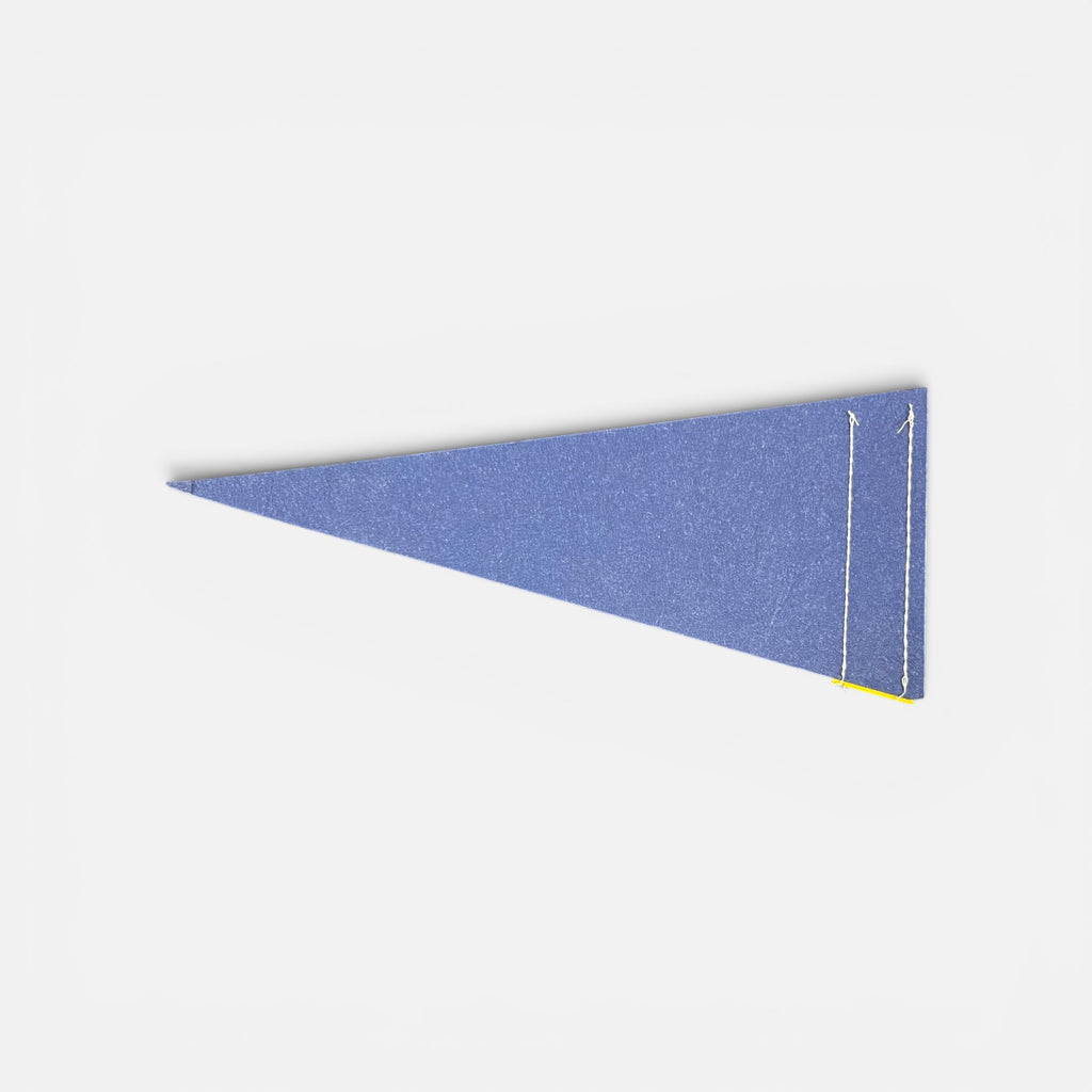 University of California, Davis Pennant