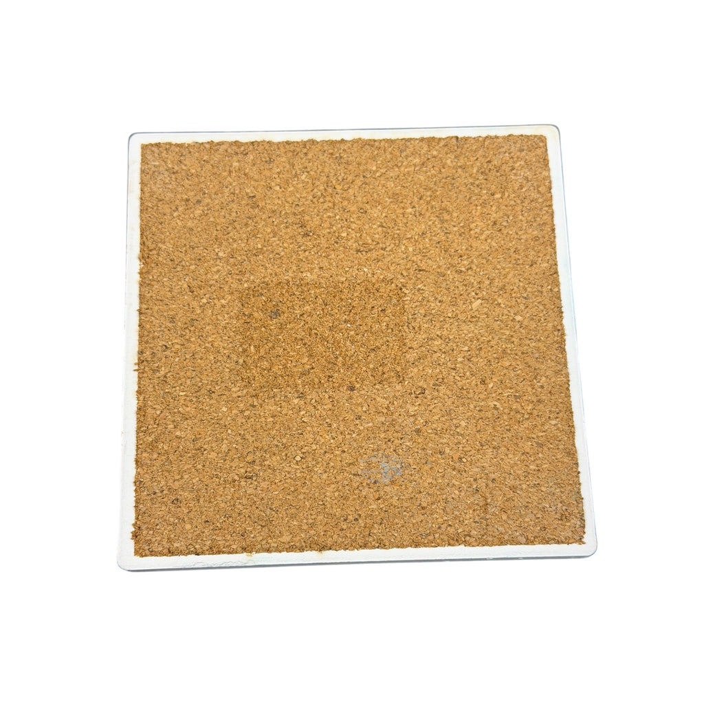 Earth Rugs Crow and Pumpkin Printed Coaster