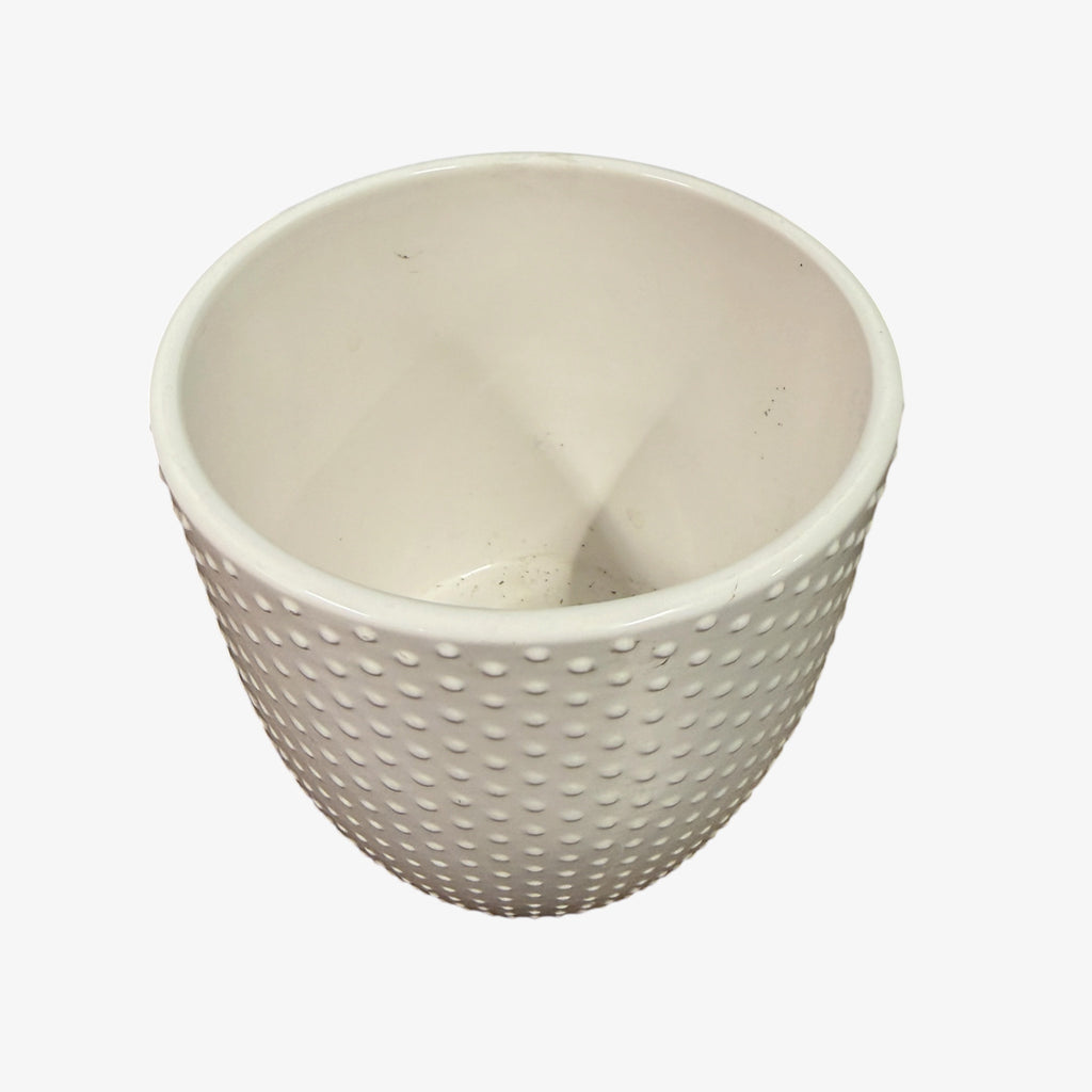 White Ceramic Planter with Dotty Texture  5"D x 5"H