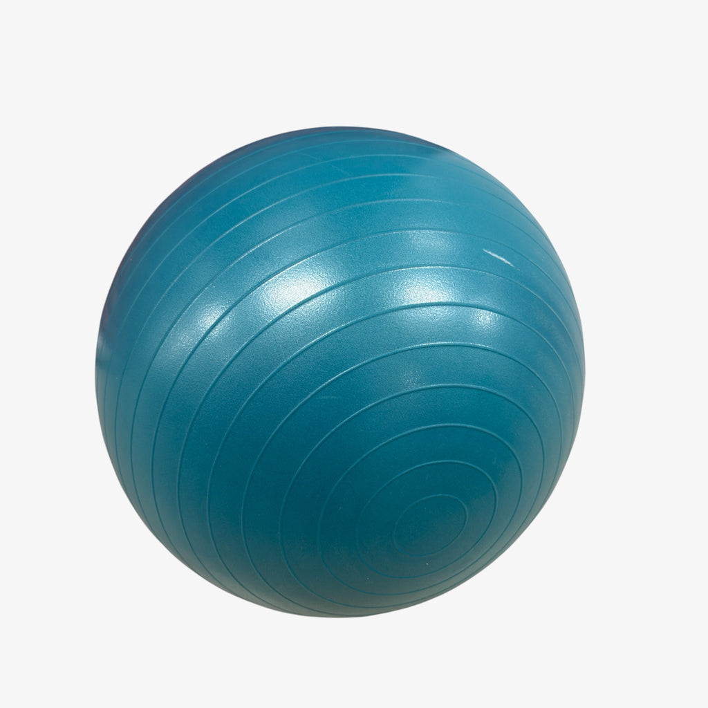 Norco 65cm Exercise Ball