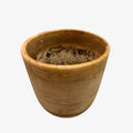Rustic Terra Cotta Flower Pot 6.5"D x 6.5"H