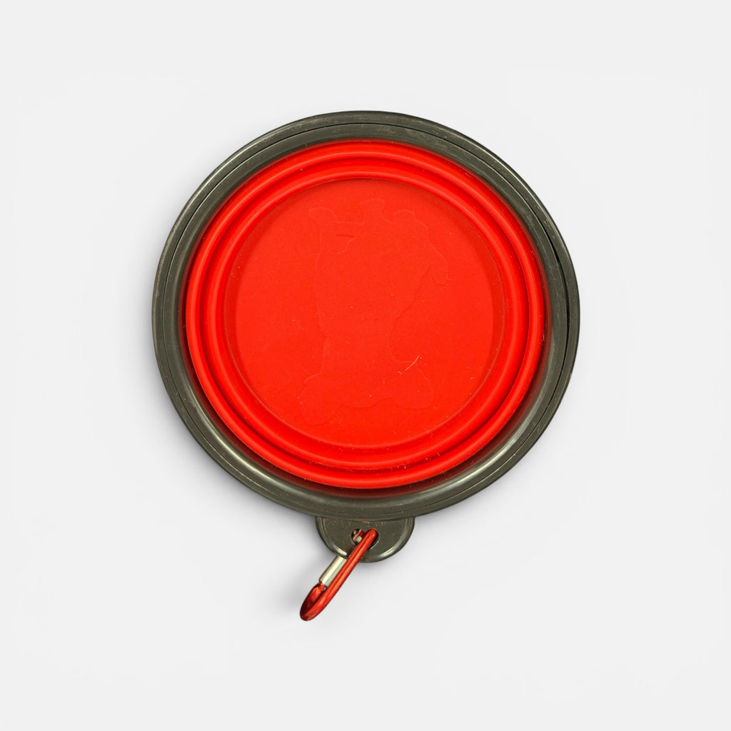 Collapsible Silicone Pet Bowl
