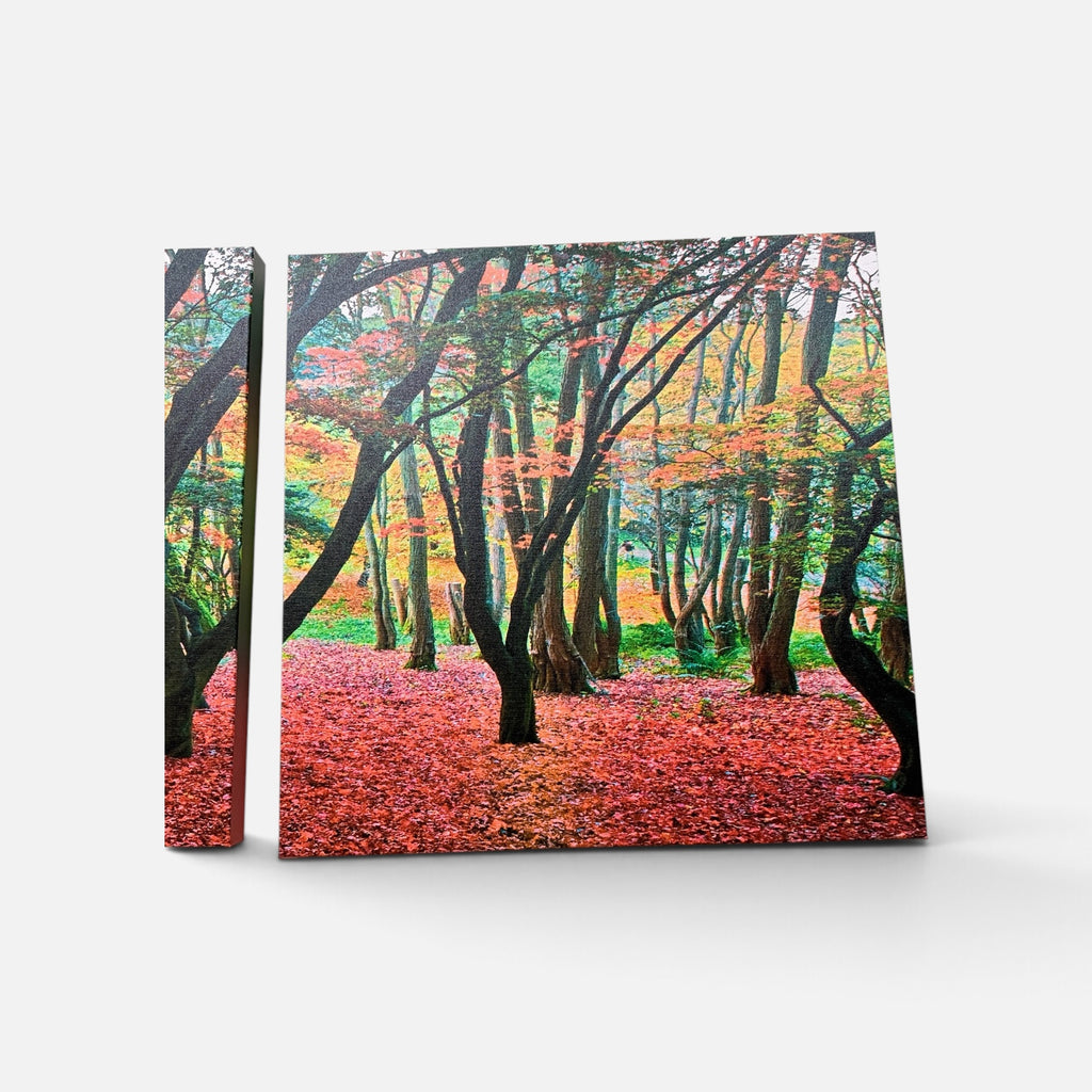 Forest in Autumn Canvas Print 3 Panel Split, Triptych Wall Art ( 24" x24" Each Panel )