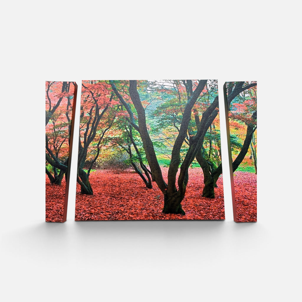 Forest in Autumn Canvas Print 3 Panel Split, Triptych Wall Art ( 24" x24" Each Panel )