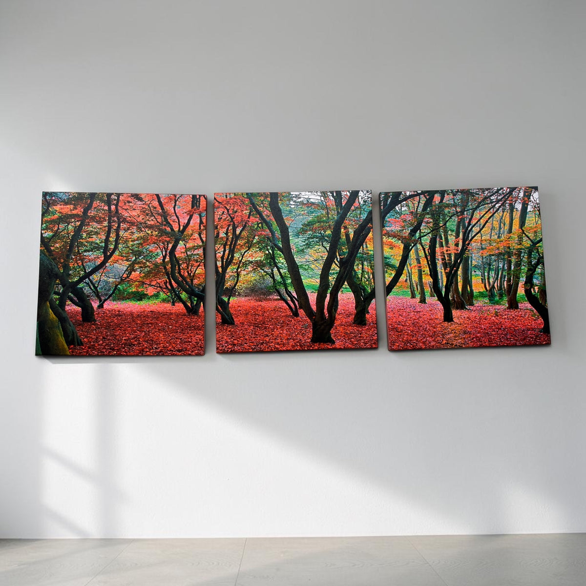 Forest in Autumn Canvas Print 3 Panel Split, Triptych Wall Art ( 24" x24" Each Panel )