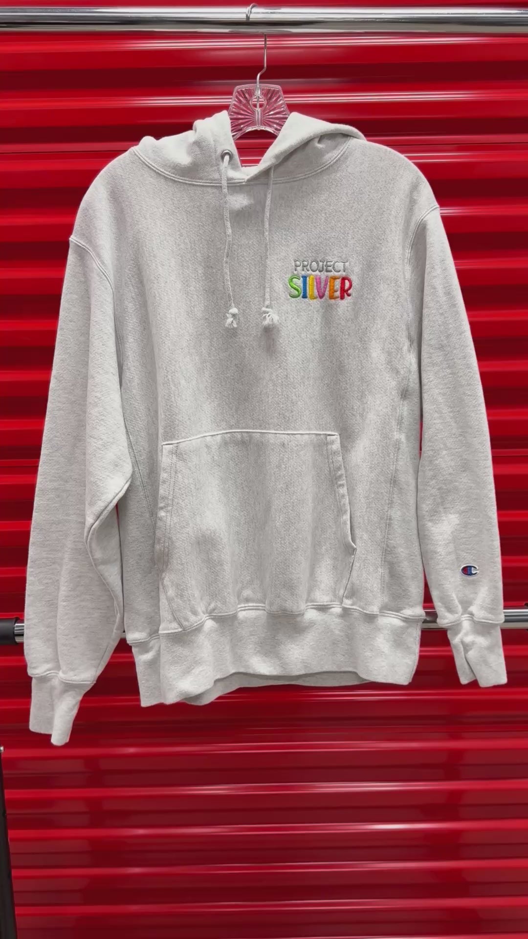 Project Silver Champion Hooded Sweatshirt Size: M