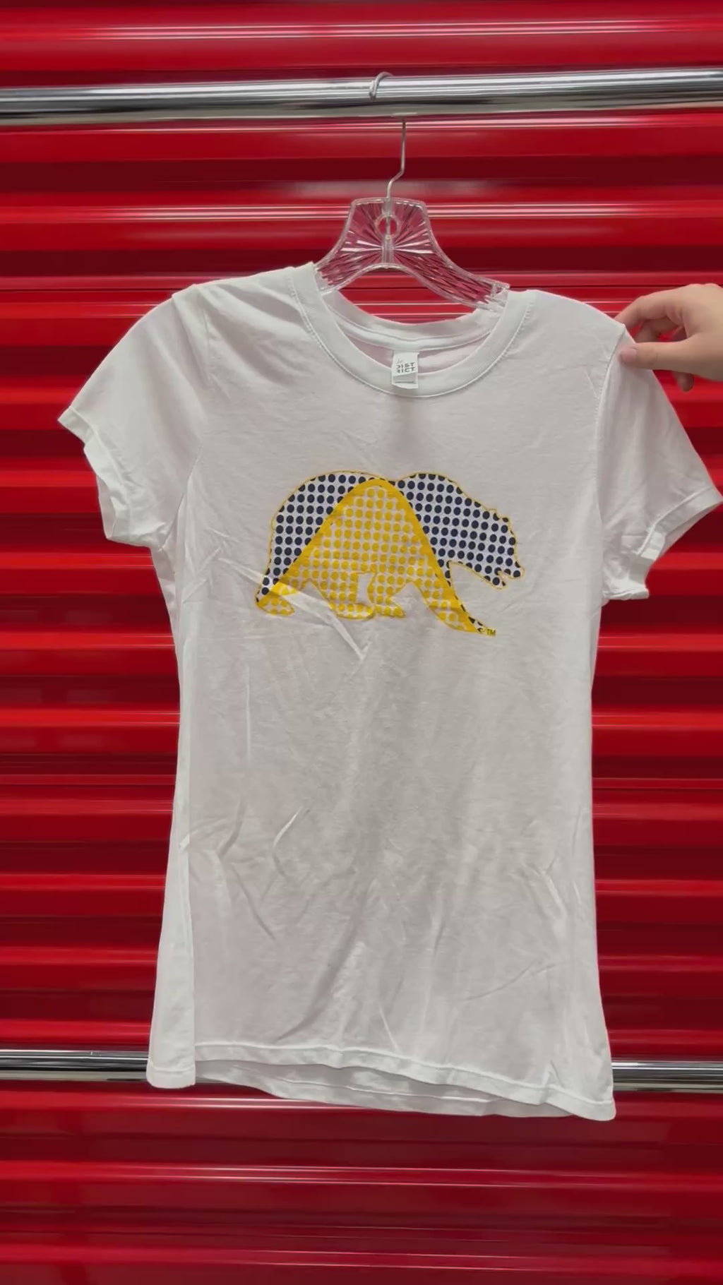 Berkeley Statistic Women's Graphic Tee Size: S
